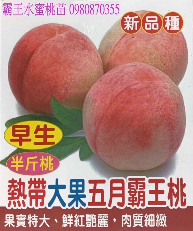 eG]