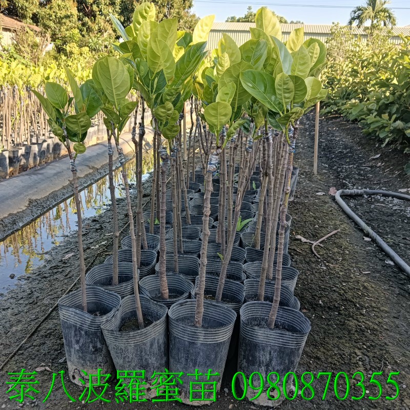 Kiùe],0980870355,pZح],8iùe],Kڻe],8ڻe],iùeG],ڻeG]