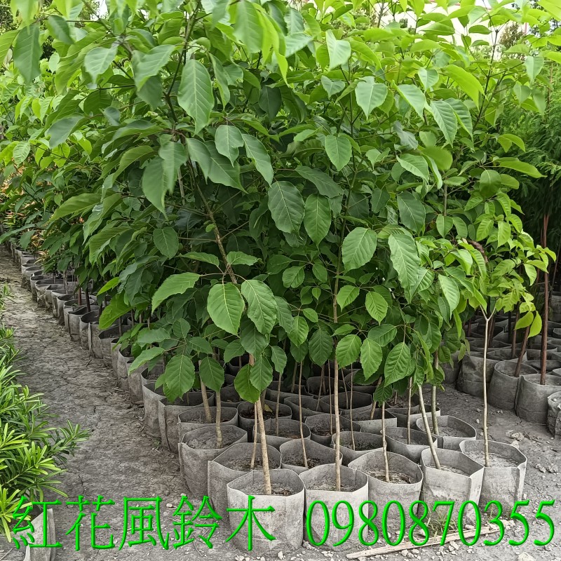 ᭷a,0980-870355,xW,,ùt,Ч,G,G],],R,X,o