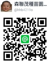 森聯茂種苗園.LINE@官方帳號