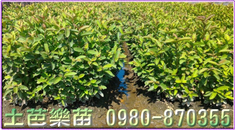 ݼ֭],gݼ֭],ï]ݼ֭],ݼ־],ݼ֪G],ݼ֥],ݼY,gݼY,gޭ],gY,޼֭],fۺh],G],G]