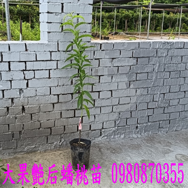 ͤjGAZϮ],0980870355,pZح],ϮG],jGϮ],aϮ],aϮ],Ϯ].,pZح],0980-870355,ݼ֭],gݼ֭],fc],|ufc],],ح],G],o,R,X