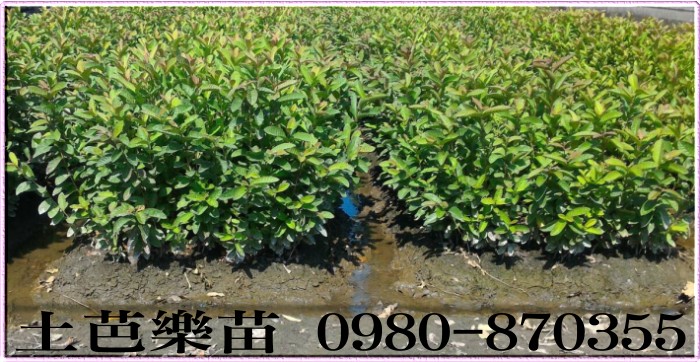 ݼ֭],gݼ֭],ï]ݼ֭],ݼ־],ݼ֪G],ݼ֥],ݼY,gݼY,gޭ],gY,޼֭],fۺh],G],G]