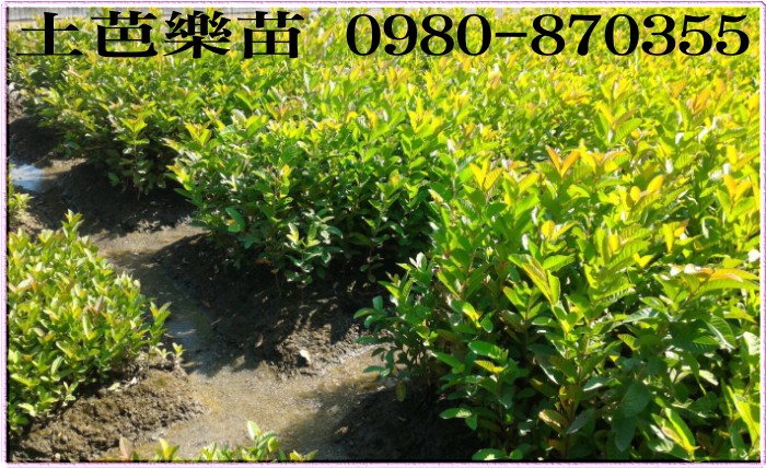 ݼ֭],gݼ֭],ï]ݼ֭]