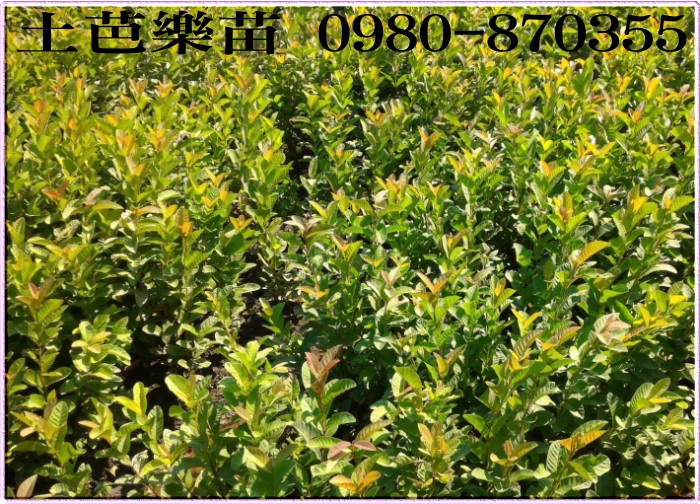 ݼ֭],gݼ֭],ݼ֭]R,gݼ֭]R,ݼ֭]o,gݼ֭]o,ݼ֭]X,gݼ֭]X,ݼ־]R,ݼ־]o