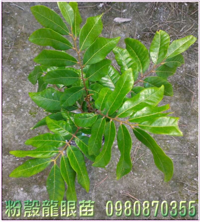 s],pZح],0980-870355,s],sG],sح].,pZح],0980-870355,ݼ֭],gݼ֭],fc],|ufc],],ح],G],o,R,X