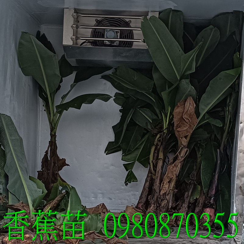 ]banana.,pZح],0980-870355,ݼ֭],gݼ֭],fc],|ufc],],ح],G],o,R,X