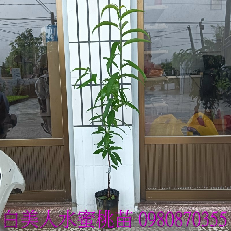 ajGլH],0980870355,pZح],զe,jGդe,ae,ae,eG].,pZح],0980-870355,ݼ֭],gݼ֭],fc],|ufc],],ح],G],o,R,X
