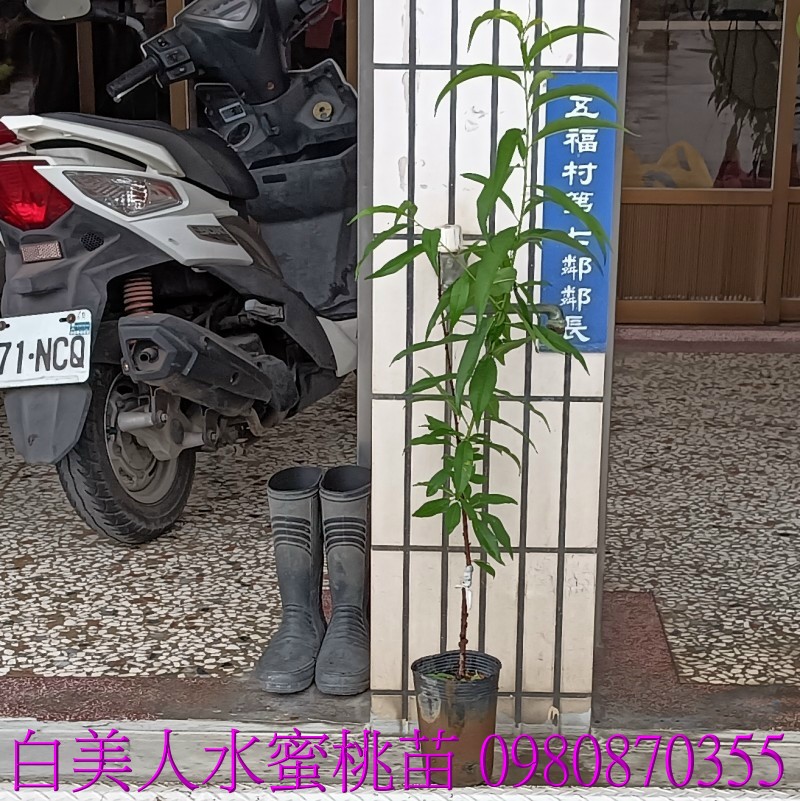 ajGլH],0980870355,pZح],զe,jGդe,ae,ae,eG].,pZح],0980-870355,ݼ֭],gݼ֭],fc],|ufc],],ح],G],o,R,X