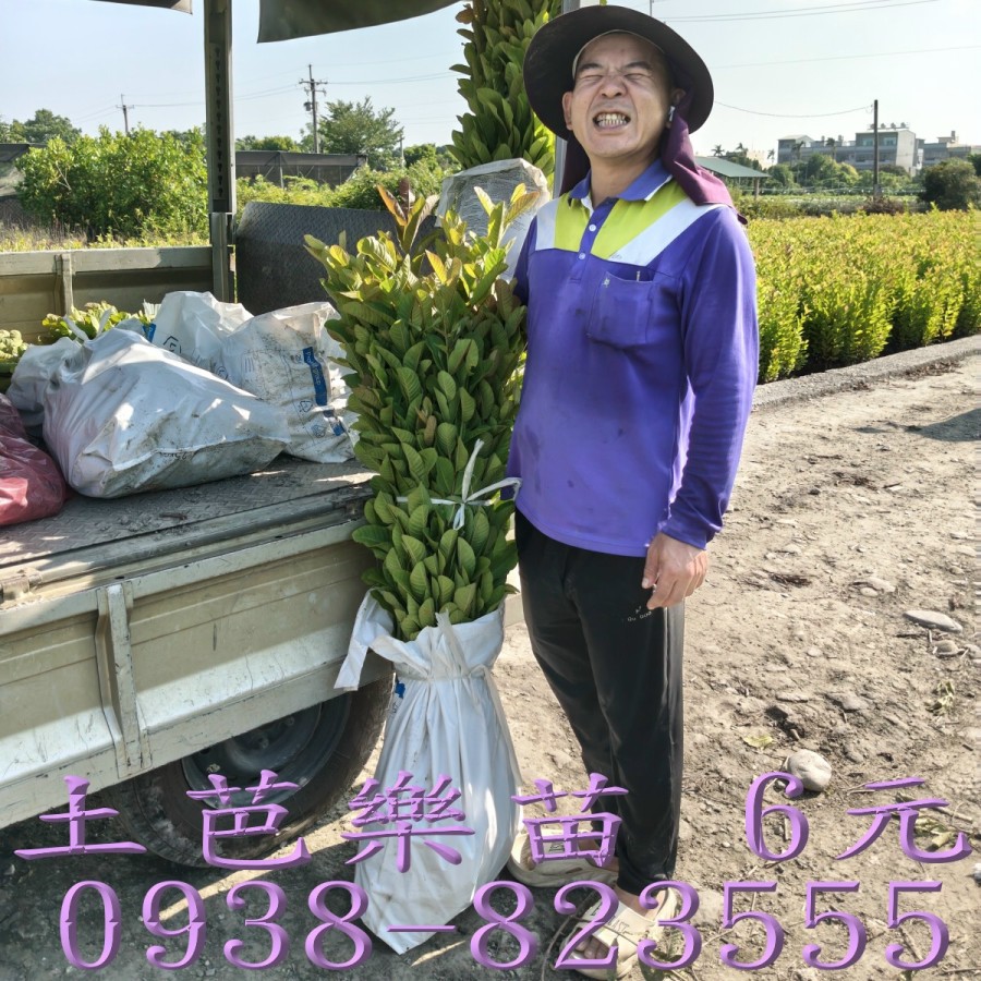 �u��g�ݼ֭] �ڨt���d �ͪ�����