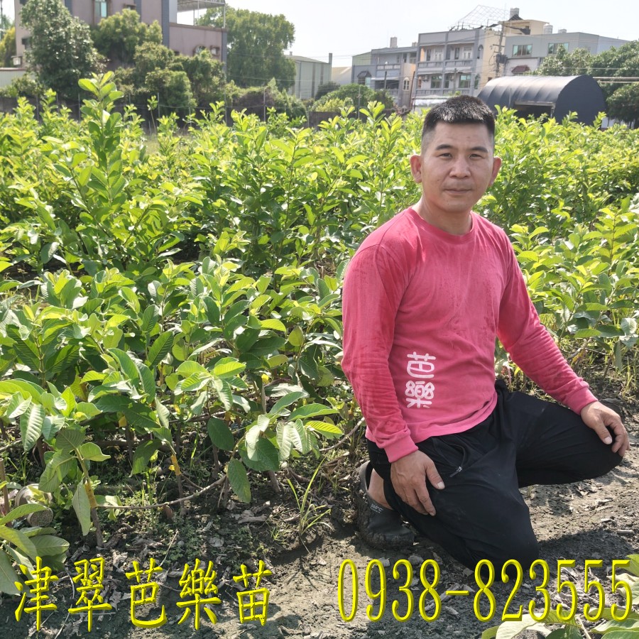 �z�A�ݼ֭]�j�q�����U ��N�T�ح]�� ���ƥùt�C�w��ӹq�G0938-823555����