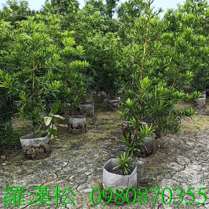 ù~QB[PxơGù~QKFޡBAA`QΨӷxyBִκX,w{oRC