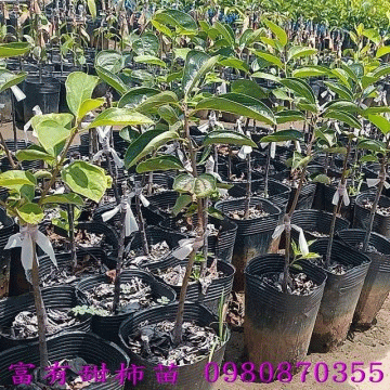 �I���d�ݴI�����U�����]�Ա�