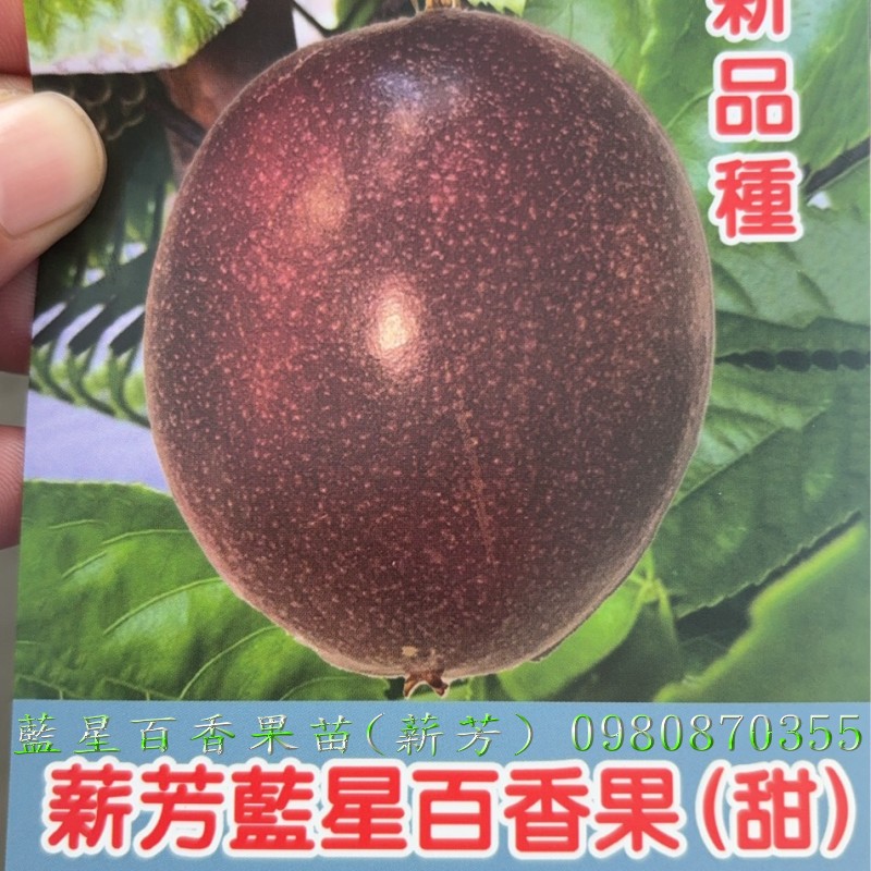 ŬPʭG],ŬPʭG],ʭG],ʭG],ŬPʭG]R,ŬPʭG]o