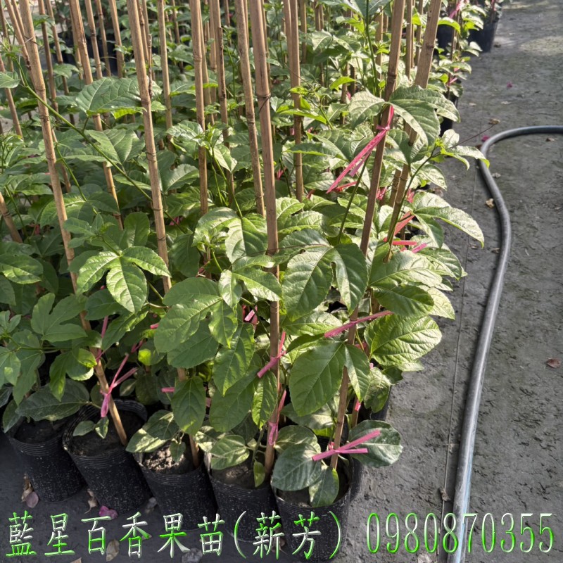 ŬPʭG],ŬPʭG],ʭG],ʭG],ŬPʭG]R,ŬPʭG]o