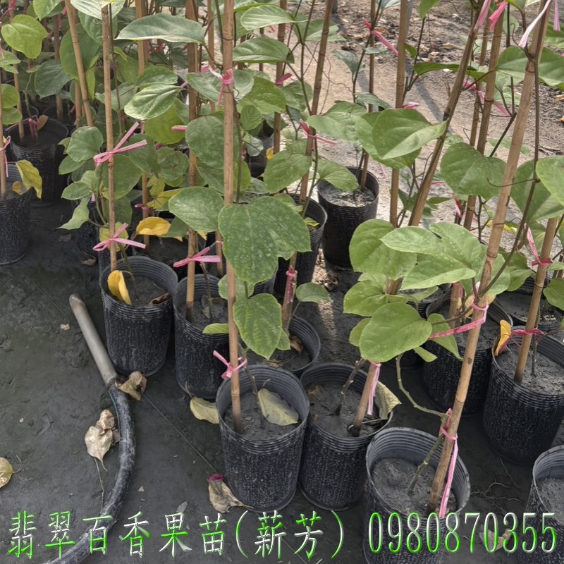 BAʭG],BAʭG],ʭG],ʭG],BAʭG]R,BAʭG]o