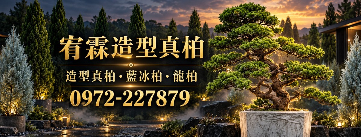 宥霖造型真柏RWD網站改版主視覺
