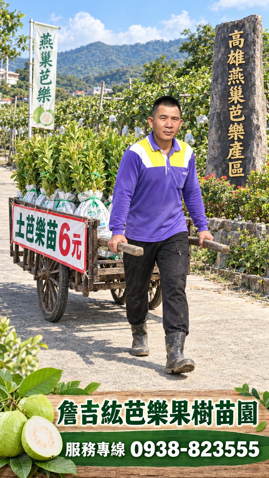 詹吉紘芭樂果樹苗園土芭樂苗供應