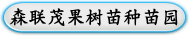 森联茂果树苗种苗园
