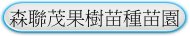 森聯茂果樹苗種苗園
