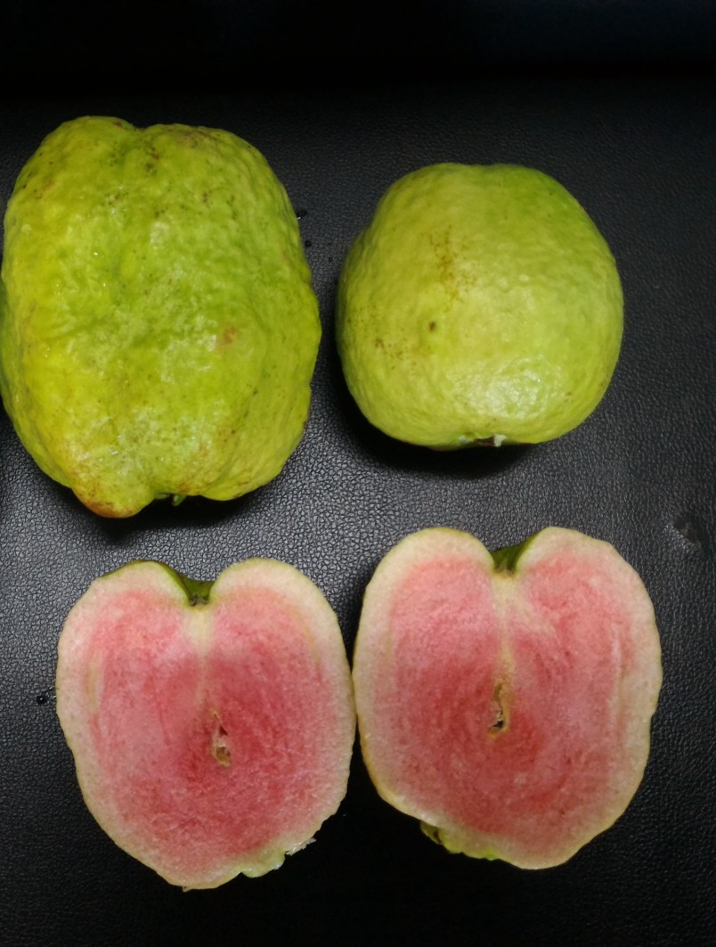 彰化县永靖乡五福村,碧天宫,忠义堂,玄天上帝,帝爷公