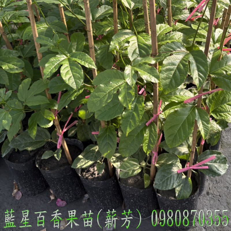 ŬPʭG],ŬPʭG],ʭG],ʭG],ŬPʭG]R,ŬPʭG]o