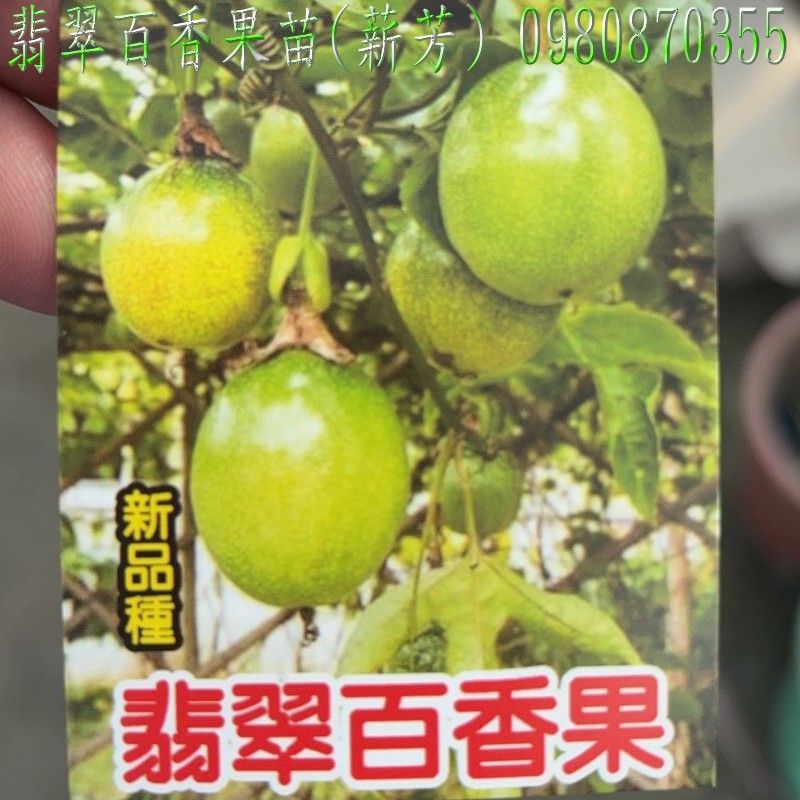 BAʭG],BAʭG],ʭG],ʭG],BAʭG]R,BAʭG]o