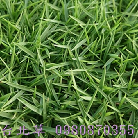 ֧oR,jx_֧oR,򶩯֧oRC