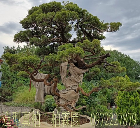 쫬yufִ,fM,M0972-227879,ƿùtm,M~gR:ufB]B֮B].pZG]ح]餧ͽp.