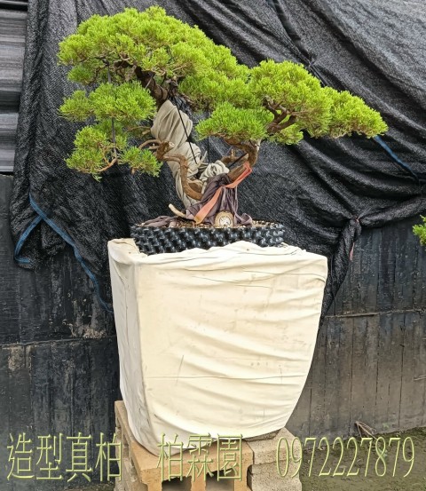 쫬yufִ,fM,M0972-227879,ƿùtm,M~gR:ufB]B֮B].pZG]ح]餧ͽp.