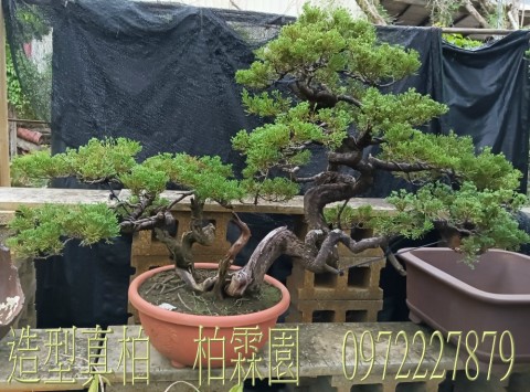 쫬yufִ,fM,M0972-227879,ƿùtm,M~gR:ufB]B֮B].pZG]ح]餧ͽp.