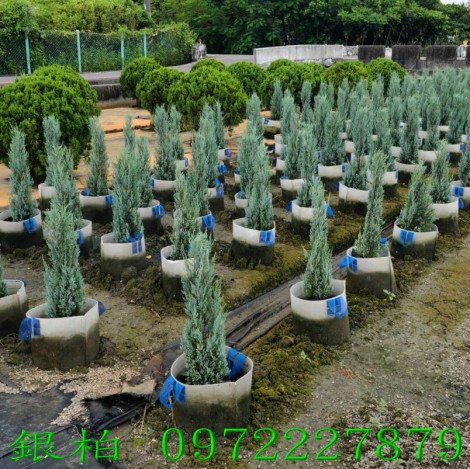 Ȭf,fM,M0972-227879,ƿùtm,M~gR:ȬfB]B֮B].pZG]ح]餧ͽp.